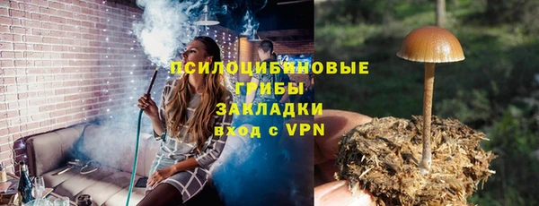 сатива Аркадак