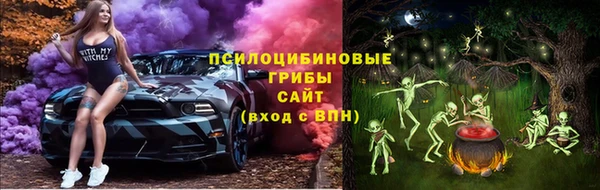 сатива Аркадак