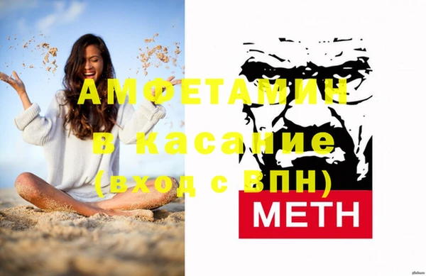 сатива Аркадак