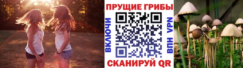 Галлюциногенные грибы мухоморы дарк нет состав Курганинск купить