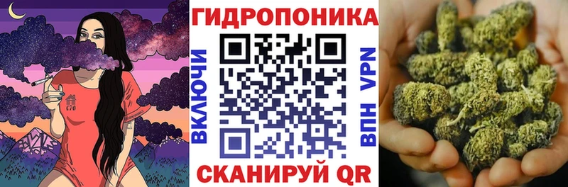 Бошки марихуана MAZAR  наркота  Курганинск 